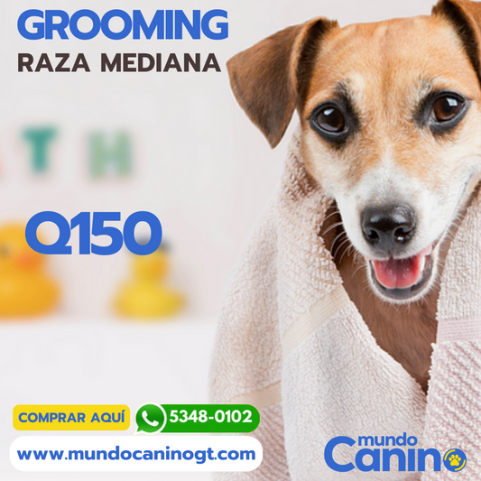 Grooming perros raza mediana